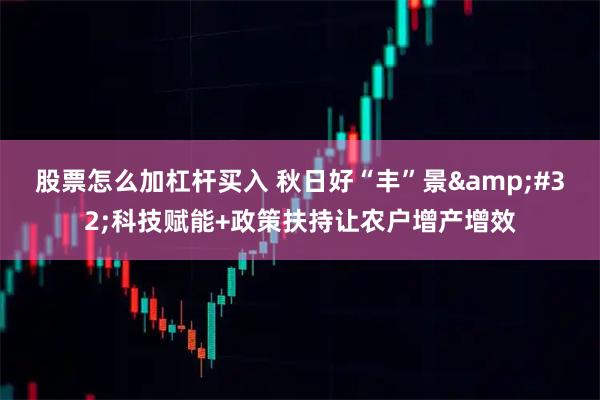 股票怎么加杠杆买入 秋日好“丰”景&#32;科技赋能+政策扶持让农户增产增效